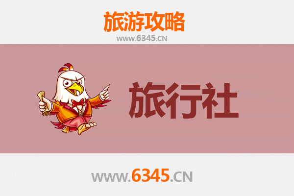 三亚国营南新农场本地旅行社推荐：深度体验热带农场的自然与文化
