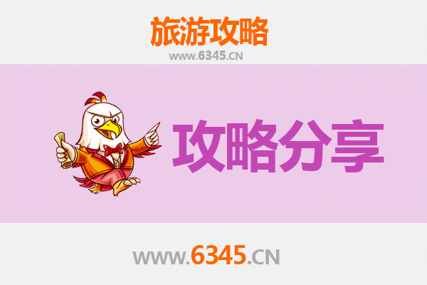 三亚南新农场至南澳岛深度自驾游攻略：海岛风情与农场时光的完美融合