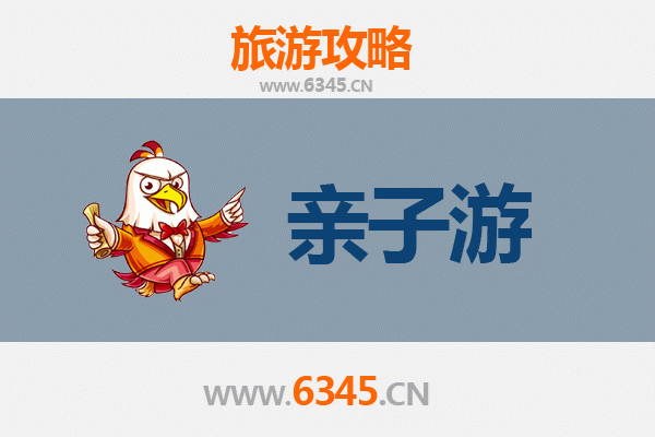 三亚国营南新农场亲子游全攻略：热带田园乐趣与家庭互动体验